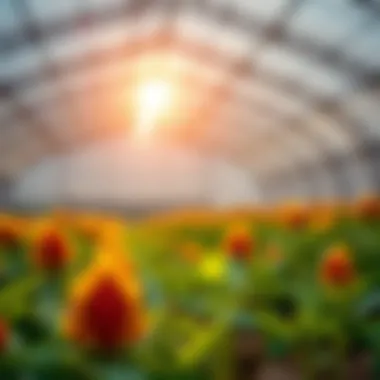 Magnificent An In-Depth Exploration of Effective Pesticides