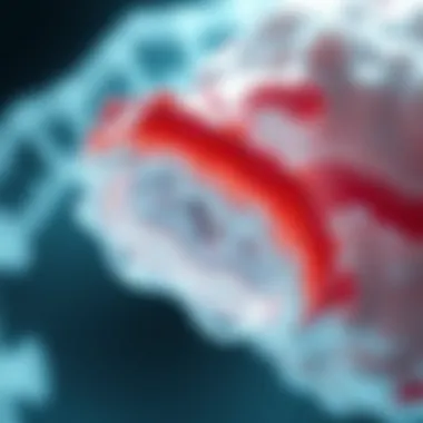 Magnificent Bio-Oss Graft: An In-Depth Examination of Its Applications and Effectiveness