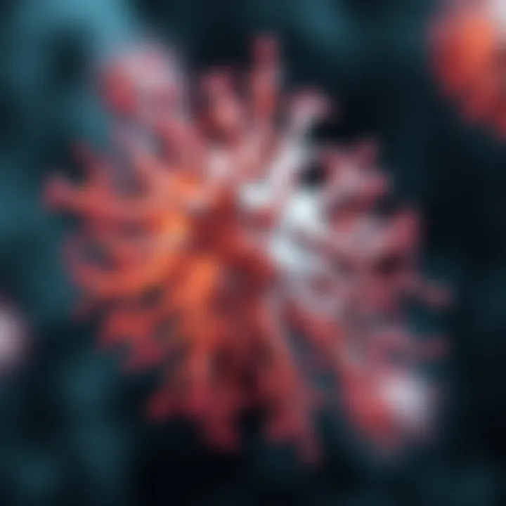 Magnificent Exploring the PI3K-AKT Signaling Pathway: Functions and Implications in Cellular Biology