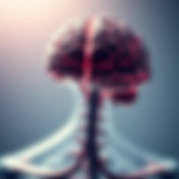Magnificent Lung Cancer and Its Metastasis to the Brain