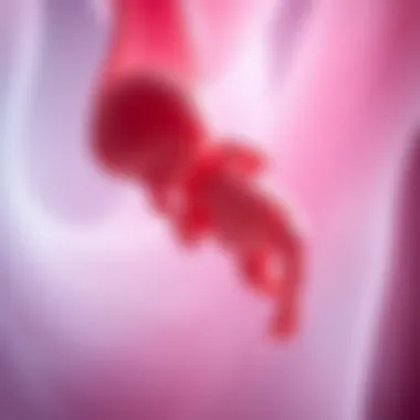 Magnificent The Development of a Fetus at Six Weeks: A Detailed Examination Magnificent The Development of a Fetus at Six Weeks: A Detailed Examination
