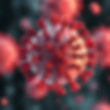 Magnificent The Role of CD86 in Immunological Responses: A Comprehensive Overview Magnificent The Role of CD86 in Immunological Responses: A Comprehensive Overview