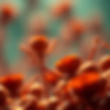 Magnificent Understanding Genetically Modified Organisms: Concepts and Implications