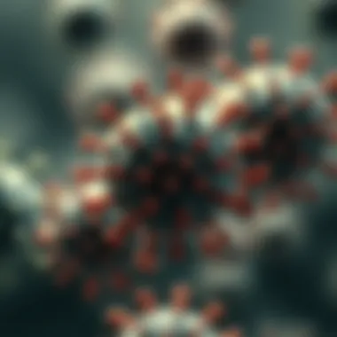 Magnificent Understanding the Rhinovirus: Insights into a Common Pathogen