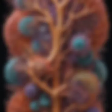 Magnificent Vimentin V9: Structure, Function, and Implications in Cellular Biology Magnificent Vimentin V9: Structure, Function, and Implications in Cellular Biology