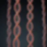 A Comprehensive Examination of Chromosome 9: Structure, Function, and Implications in Human Genetics Introduction