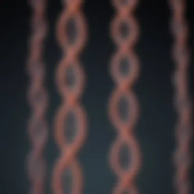 A Comprehensive Examination of Chromosome 9: Structure, Function, and Implications in Human Genetics Introduction