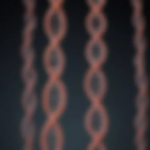 A Comprehensive Examination of Chromosome 9: Structure, Function, and Implications in Human Genetics Introduction
