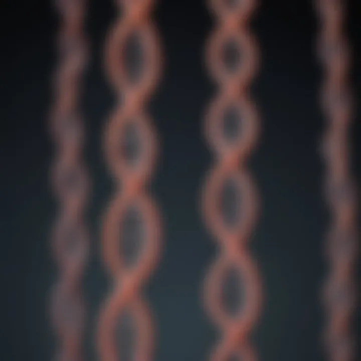 A Comprehensive Examination of Chromosome 9: Structure, Function, and Implications in Human Genetics Introduction