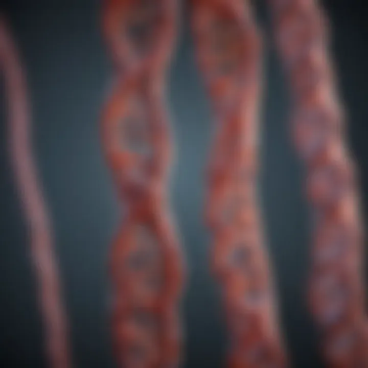 Notable A Comprehensive Examination of Chromosome 9: Structure, Function, and Implications in Human Genetics