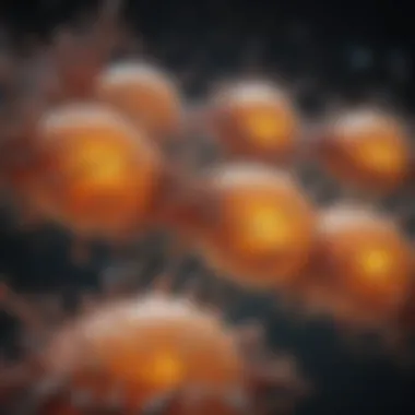 ATP Synthesis During Cellular Respiration ATP synthesis in cellular respiration