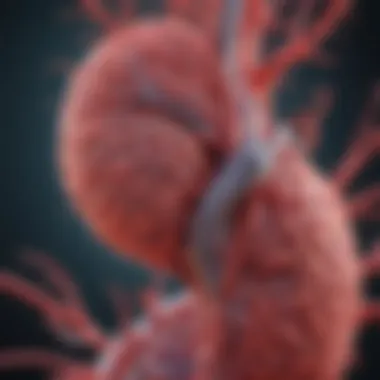 Advancements in Vascular Biology and Therapeutics Diagram of advancements in vascular biology using Sciencell Medium