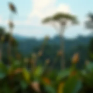 Biodiversity Under Threat Local wildlife in the Amazon