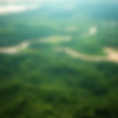 Changing Landscape of the Amazon Satellite view of the Amazon Rainforest