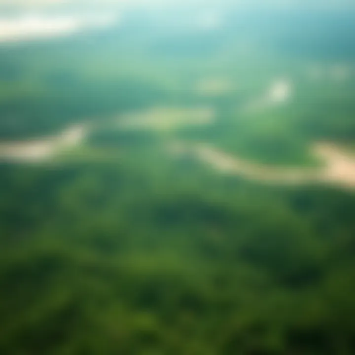 Changing Landscape of the Amazon Satellite view of the Amazon Rainforest