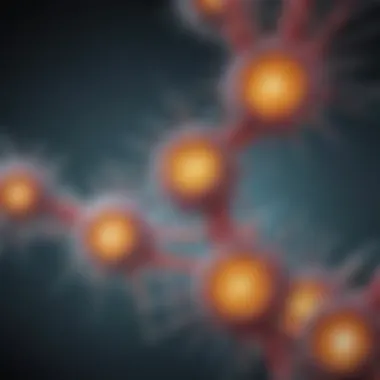 Diagram illustrating the role of ubiquitination in cell signaling pathways