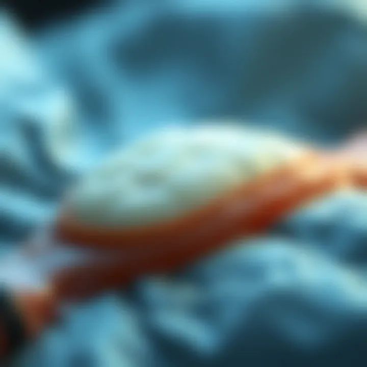 Notable Bio-Oss Graft: An In-Depth Examination of Its Applications and Effectiveness