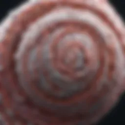 Biomedical Image Analysis in Python Introduction