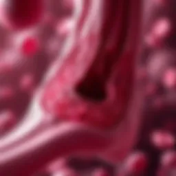 Illustration depicting the bone marrow's role in blood cell production