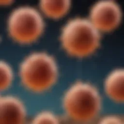 Detailed illustration of T cell development stages