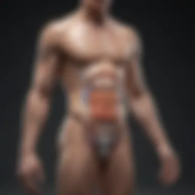 Calcium Metabolism and Its Importance Diagram showing calcium metabolism in the body