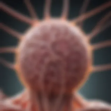 Lymph Nodes Structure and Lymphoma Interaction An illustration depicting the structure of lymph nodes affected by lymphoma.