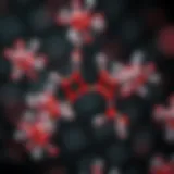 Molecular structure of Conjugated Linoleic Acid