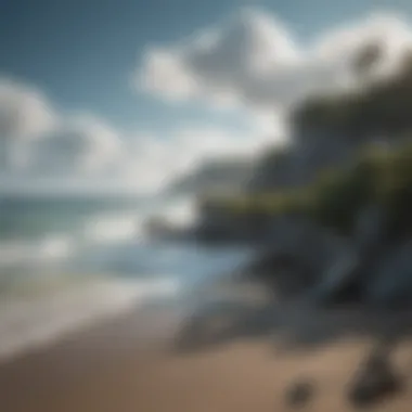 Visualization of climate change effects on coastal environments