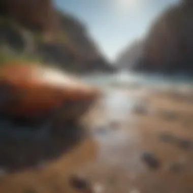Close-up of marine life affected by coastal erosion