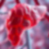 Complex Cyst of the Liver: An In-depth Analysis Introduction