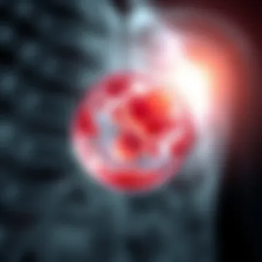 Notable Complex Cyst of the Liver: An In-depth Analysis Notable Complex Cyst of the Liver: An In-depth Analysis