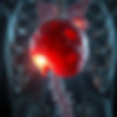 Complex Cyst of the Liver: An In-depth Analysis Summary