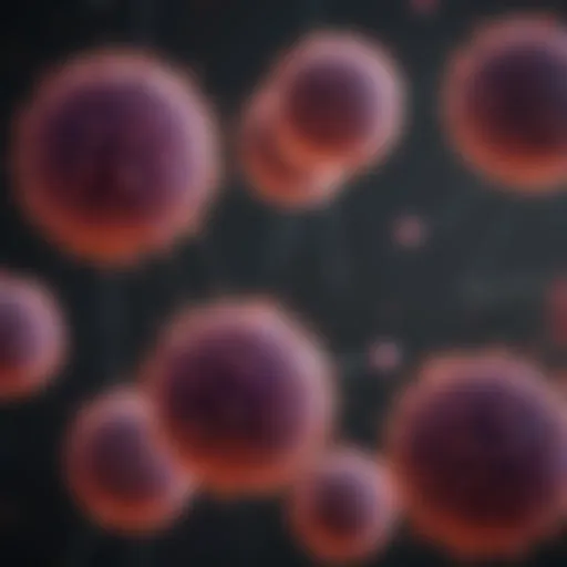A diagram illustrating T cell interactions with target cells