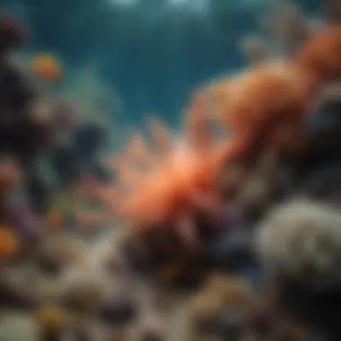 Interconnected Lives: Species Interactions in Coral Reefs Coral reef ecosystem showcasing various species interactions