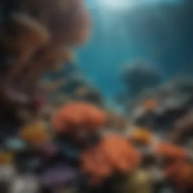 The Rich Diversity of Coral Reefs Vibrant coral reef teeming with diverse marine life