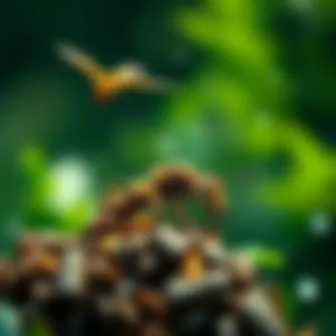 Species Interdependence Infographic depicting the interdependence of species in an ecosystem