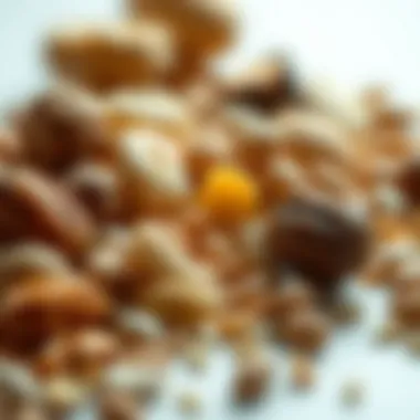 A selection of nuts and seeds