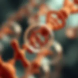 Illustration of plasmid structure and function