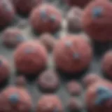 Microscopic view of mesothelioma cells