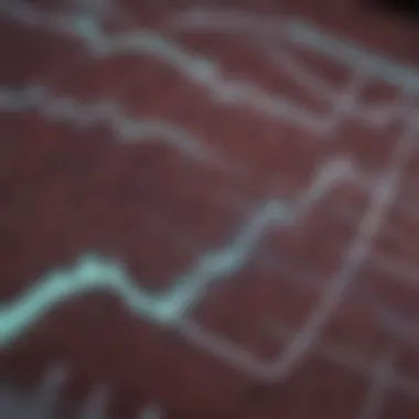 Visualization of atrial fibrillation characteristics on EKG.