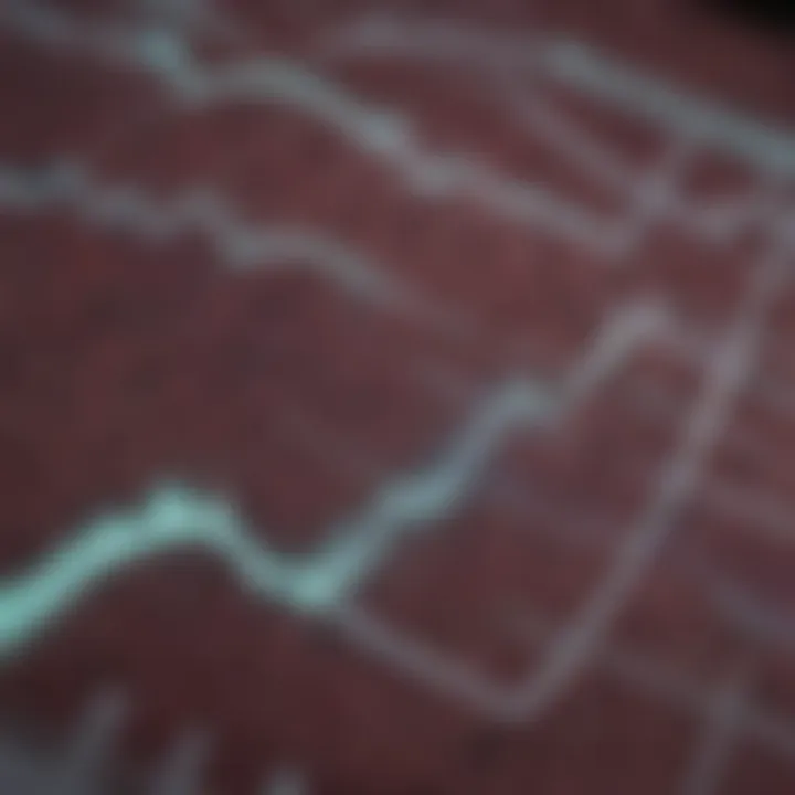 Visualization of atrial fibrillation characteristics on EKG.