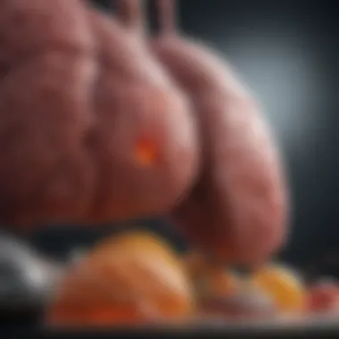 Lifestyle Factors Impacting Liver Health Chart showing lifestyle factors affecting liver health