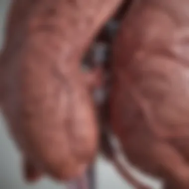 Understanding Liver Function and Health Indicators Illustration of liver function and health indicators