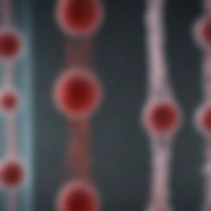 Visualization of endothelial cell cultivation in a laboratory setting