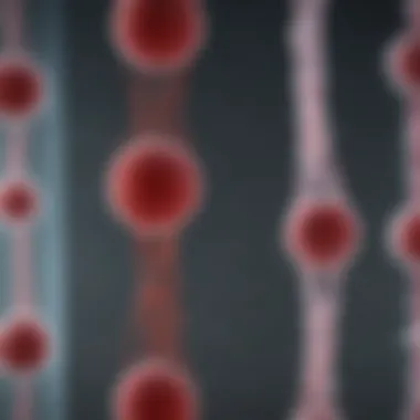 Endothelial Cell Cultivation Techniques Visualization of endothelial cell cultivation in a laboratory setting