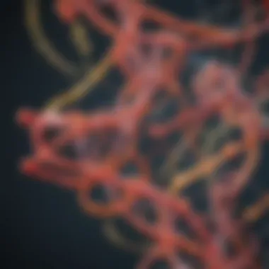 Non-Coding RNAs and Their Regulatory Functions Graphical representation of non-coding RNAs and their regulatory functions