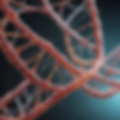 Episomal DNA structure illustrated