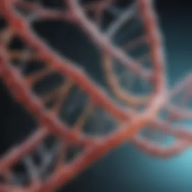 Structure of Episomal DNA Elements Episomal DNA structure illustrated