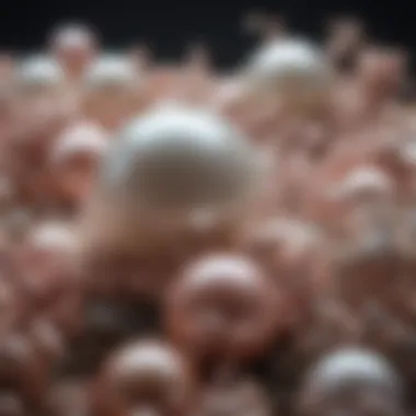 Biological factors influencing pearl pigmentation