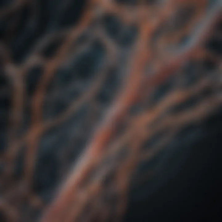 Graphical illustration of neural pathways activated by sensors